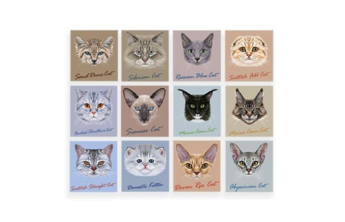 Шоколад коллекционный 1000х5г «Кошки» молочный серебро 2